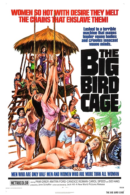Cușca Mare cu Păsări - The Big Bird Cage (1972)